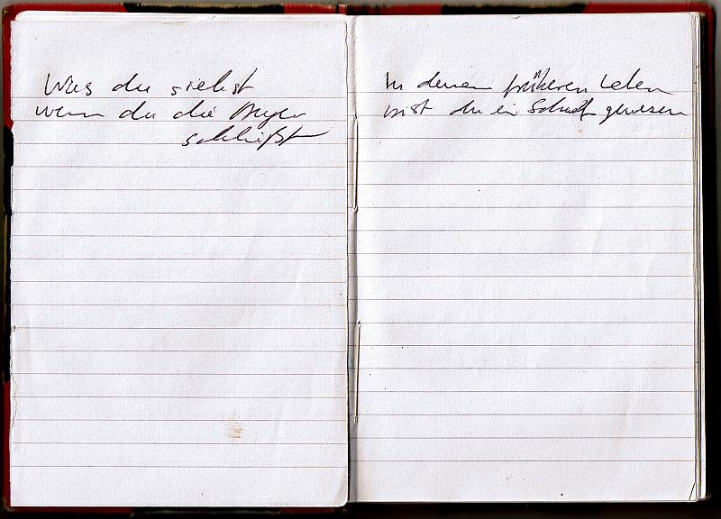 blackredbook (16)
